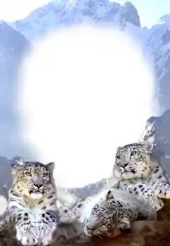 Efecto de fotos de la categoría Otros № 68679 Efecto de fotos de la categoría Otros № 68679