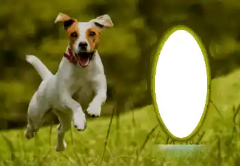 Efecto de fotos de la categoría Otros № 68744