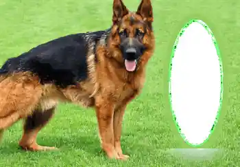 Efecto de fotos de la categoría Otros № 68745