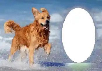 Efecto de fotos de la categoría Otros № 68751