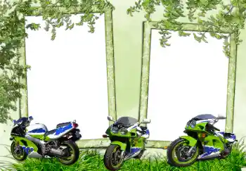 Efecto de fotos de la categoría Otros № 70952 Efecto de fotos de la categoría Otros № 70952