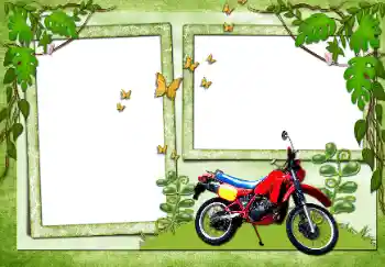 Efecto de fotos de la categoría Otros № 72138 Efecto de fotos de la categoría Otros № 72138