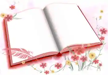 Efecto de fotos de la categoría Otros № 72457 Efecto de fotos de la categoría Otros № 72457