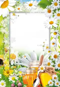 Efecto de fotos de la categoría Otros № 73499 Efecto de fotos de la categoría Otros № 73499