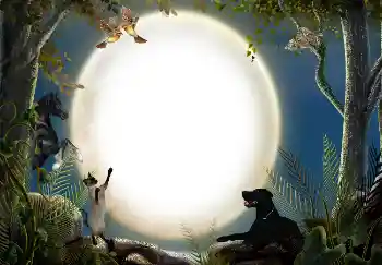 Efecto de fotos de la categoría Otros № 7470 Efecto de fotos de la categoría Otros № 7470