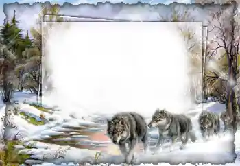 Efecto de fotos de la categoría Otros № 7512