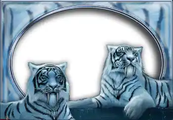 Efecto de fotos de la categoría Otros № 7517 Efecto de fotos de la categoría Otros № 7517