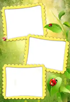 Efecto de fotos de la categoría Otros № 79010 Efecto de fotos de la categoría Otros № 79010