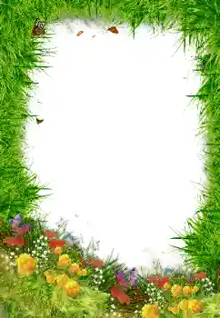 Efecto de fotos de la categoría Otros № 80192 Efecto de fotos de la categoría Otros № 80192