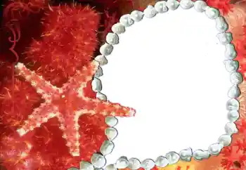 Efecto de fotos de la categoría Otros № 80293