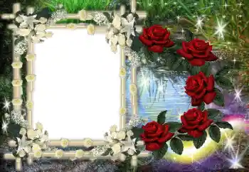 Efecto de fotos de la categoría Otros № 80386