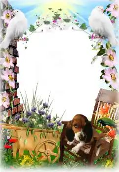 Efecto de fotos de la categoría Otros № 81633