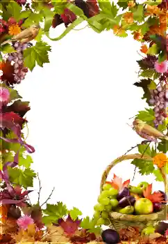 Efecto de fotos de la categoría Otros № 81650