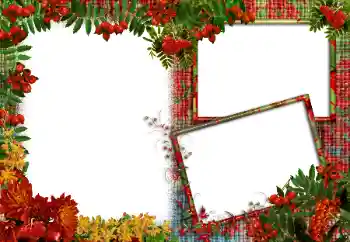 Efecto de fotos de la categoría Otros № 83986