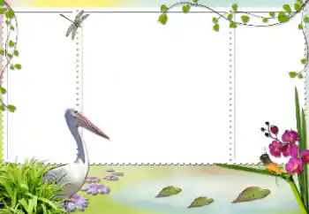 Efecto de fotos de la categoría Otros № 84103