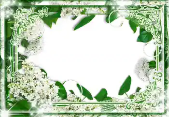 Efecto de fotos de la categoría Otros № 85233