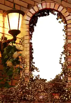 Efecto de fotos de la categoría Otros № 8595