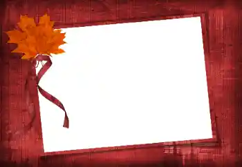 Efecto de fotos de la categoría Otros № 86582