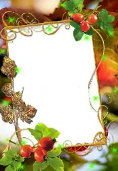 Efecto de fotos de la categoría Otros № 8676