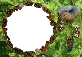 Efecto de fotos de la categoría Otros № 8682