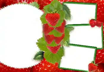 Efecto de fotos de la categoría Otros № 8738