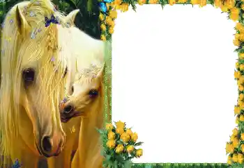 Efecto de fotos de la categoría Otros № 87686