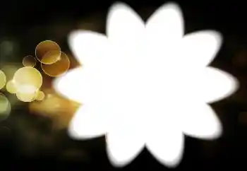 Efecto de fotos de la categoría Otros № 88034