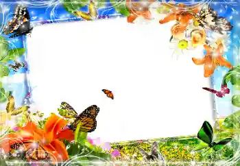 Efecto de fotos de la categoría Otros № 89452