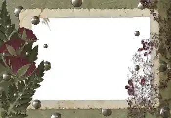 Efecto de fotos de la categoría Otros № 89455