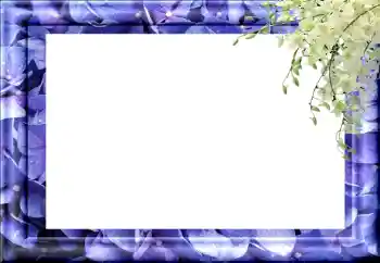 Efecto de fotos de la categoría Otros № 89460