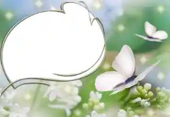 Efecto de fotos de la categoría Otros № 90527 Efecto de fotos de la categoría Otros № 90527