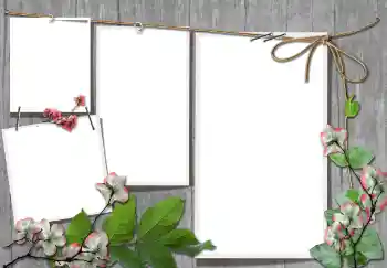 Efecto de fotos de la categoría Otros № 91740