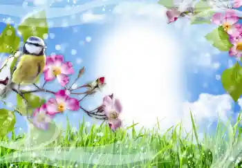 Efecto de fotos de la categoría Otros № 91774