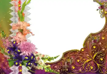 Efecto de fotos de la categoría Otros № 91827