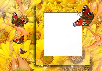 Efecto de fotos de la categoría Otros № 91829