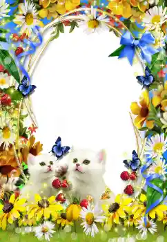 Efecto de fotos de la categoría Otros № 93351