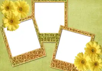 Efecto de fotos de la categoría Otros № 93371