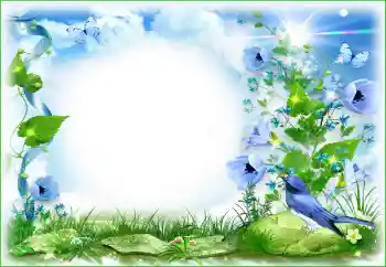 Efecto de fotos de la categoría Otros № 94495 Efecto de fotos de la categoría Otros № 94495