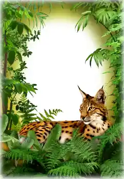 Efecto de fotos de la categoría Otros № 94618