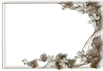 Efecto de fotos de la categoría Otros № 94748