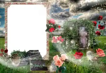 Efecto de fotos de la categoría Otros № 96374