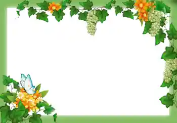 Efecto de fotos de la categoría Otros № 9658