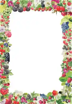 Efecto de fotos de la categoría Otros № 9790