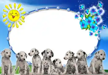 Efecto de fotos de la categoría Otros № 9907