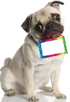 Efecto de fotos de la categoría Otros № 99781