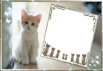 Efecto de fotos de la categoría Otros № 99811