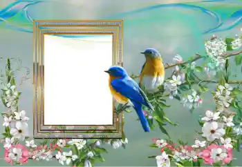 Efecto de fotos de la categoría Otros № 99895