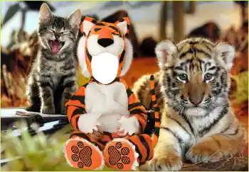 Efecto de fotos de la categoría Para los niños № 118830