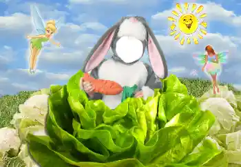 Efecto de fotos de la categoría Para los niños № 118833