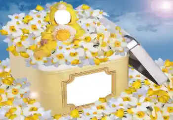 Efecto de fotos de la categoría Para los niños № 33984